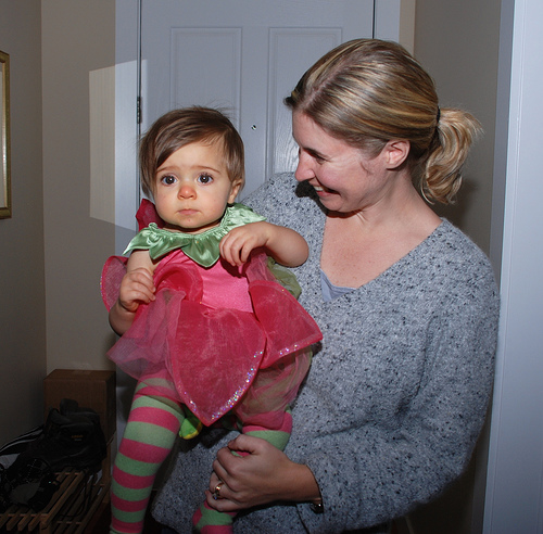 tulip fairy Meredith