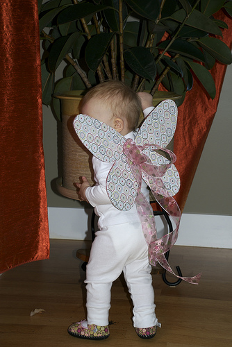 fairy