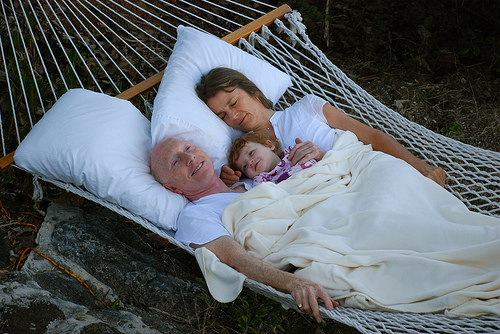 morning in the hammock